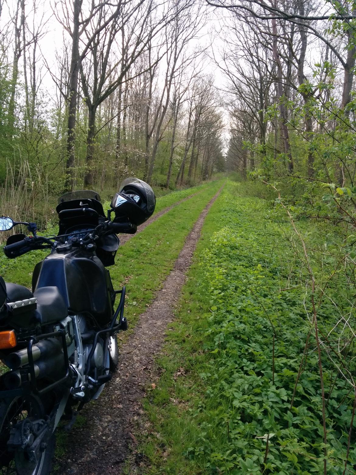 Honda Transalp  billede 15