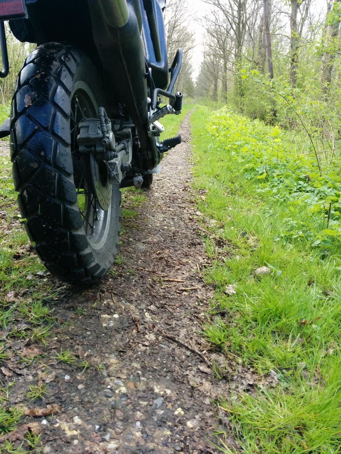 Honda Transalp  billede 17