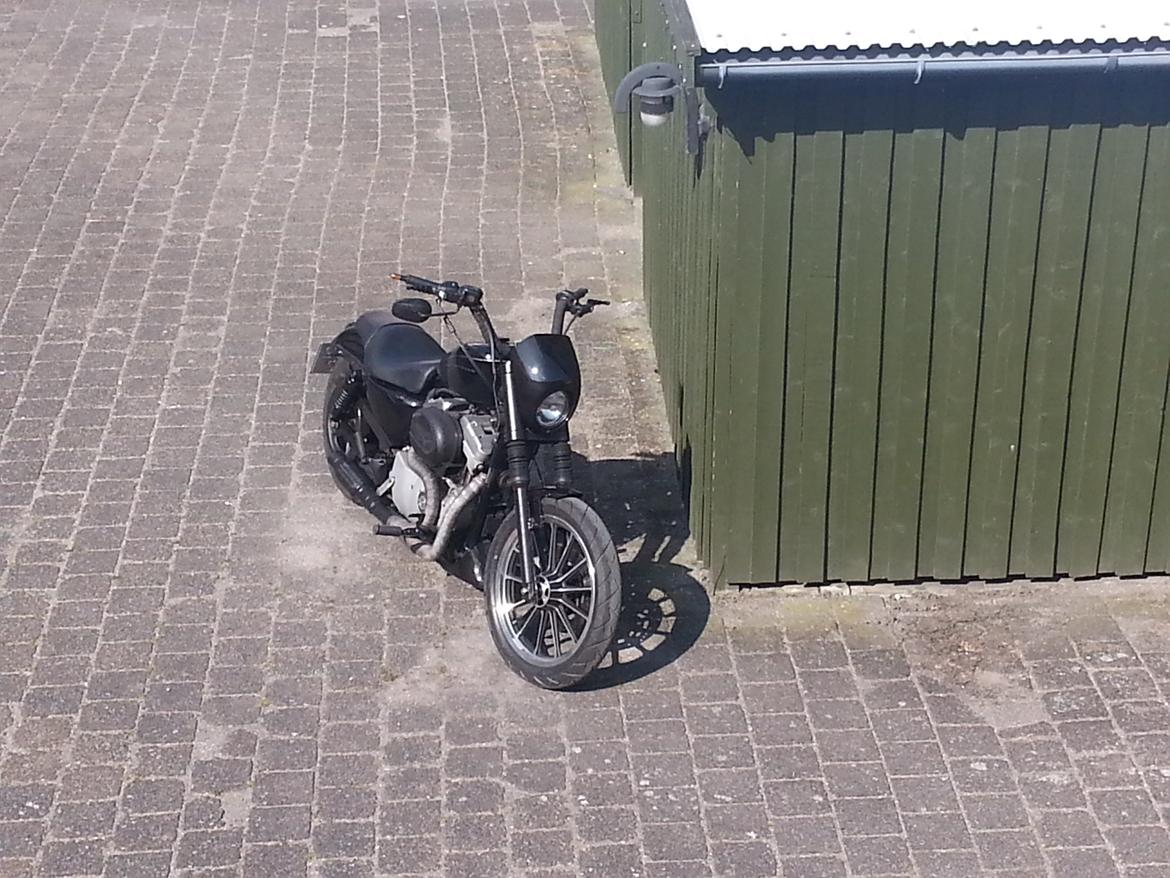 Harley Davidson Sportster XL883 billede 5