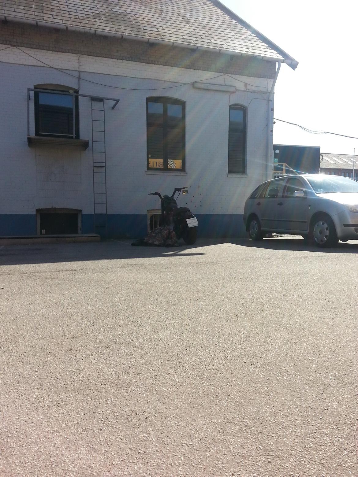 Harley Davidson Sportster XL883 billede 7