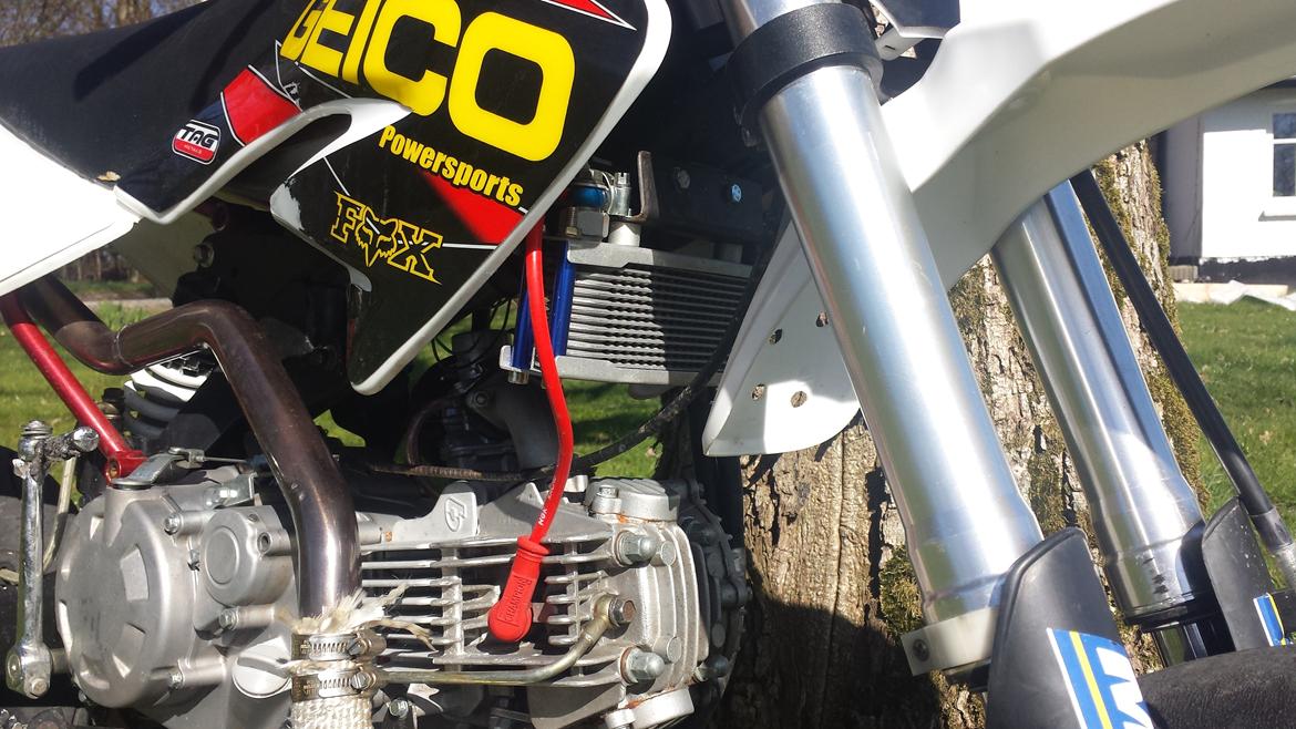 Honda CRF 70 "motard" billede 15