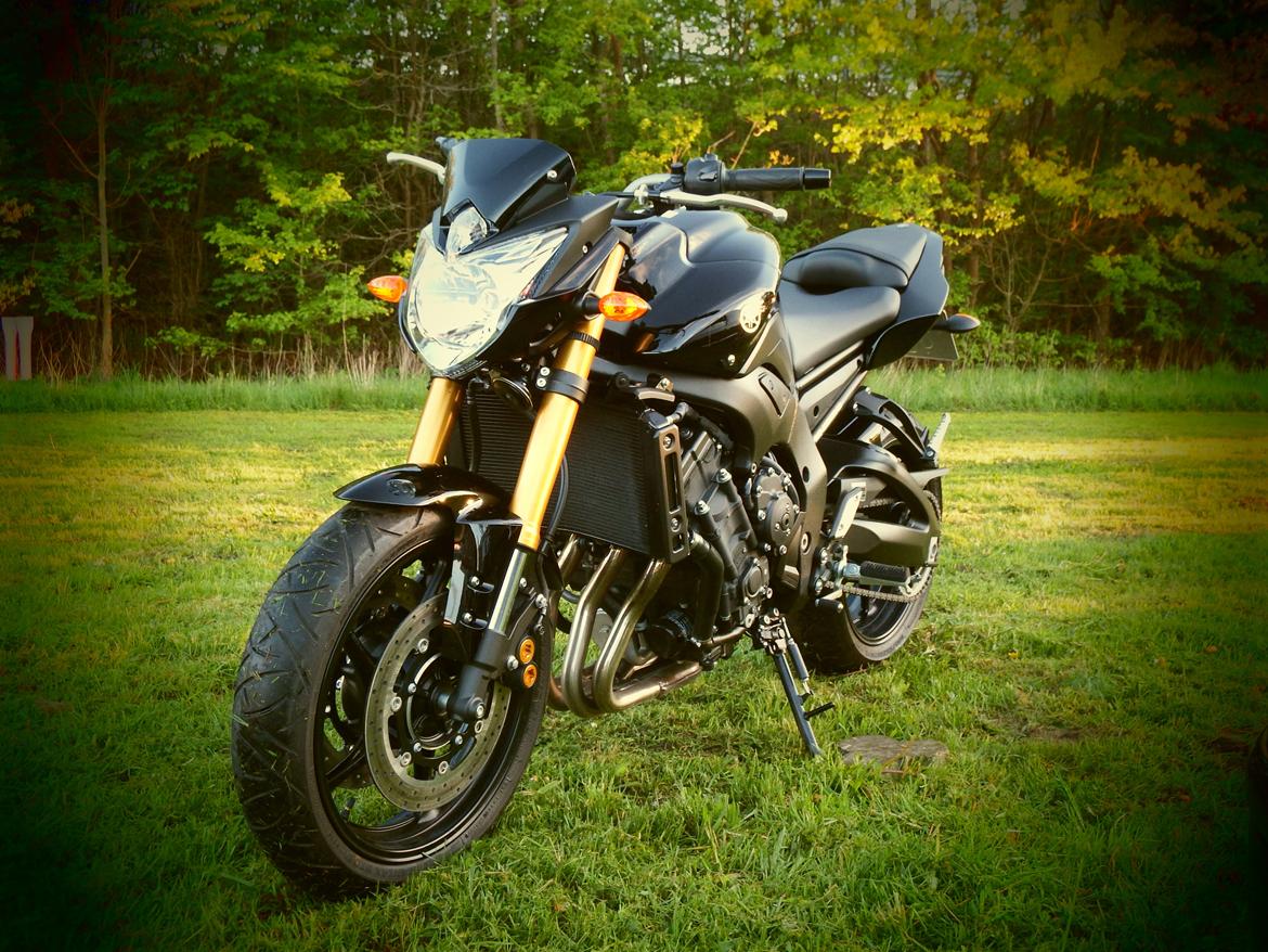 Yamaha FZ8 billede 2