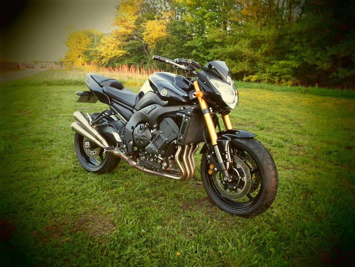 Yamaha FZ8 billede 5