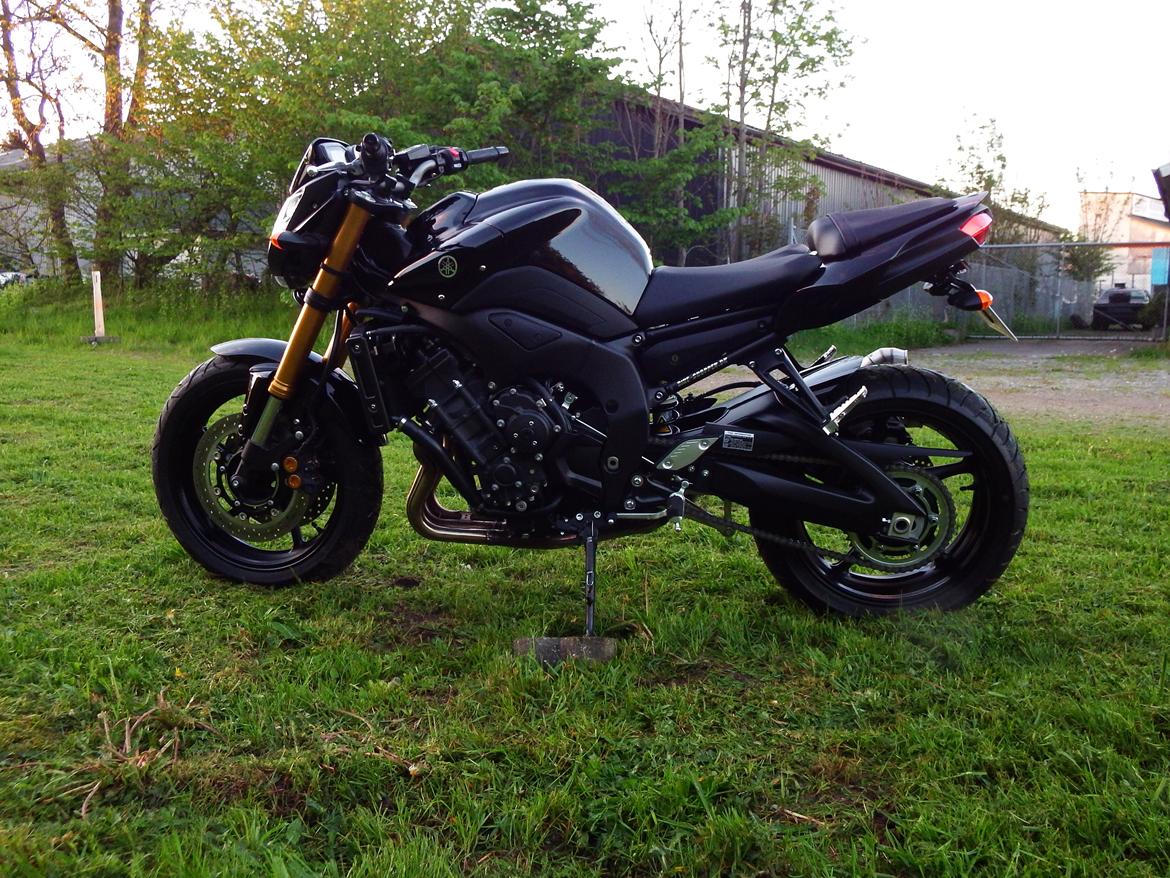 Yamaha FZ8 billede 12