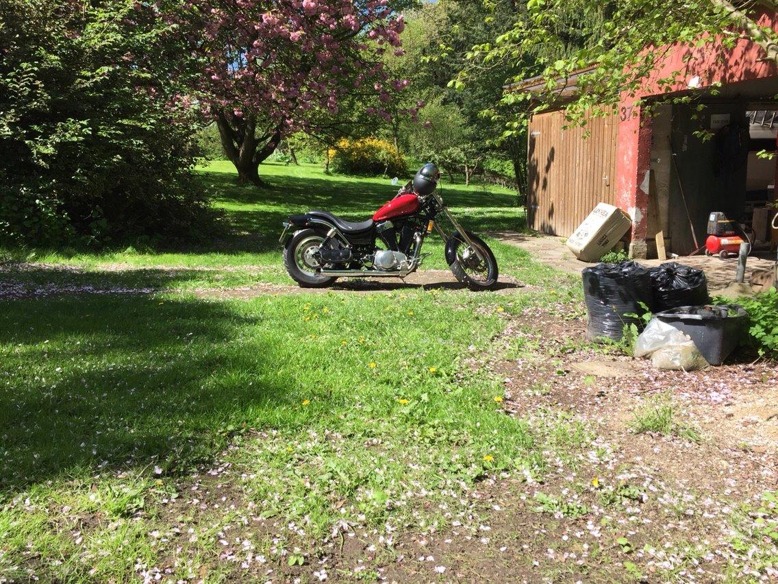 Suzuki VS 1400 Intruder billede 2