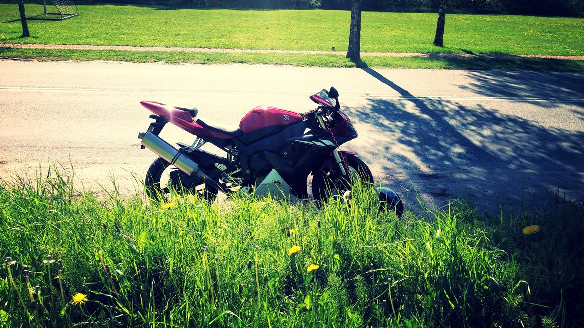 Yamaha YZF R1 billede 16