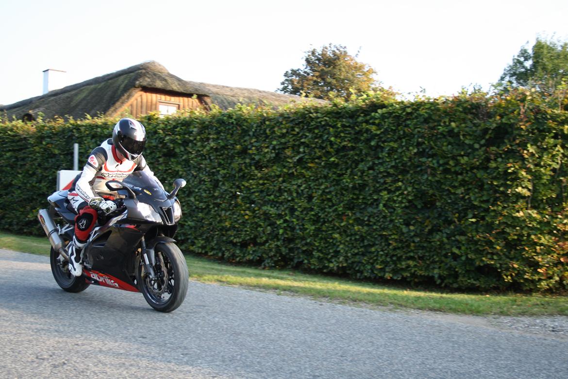 Aprilia RSV 1000 billede 5