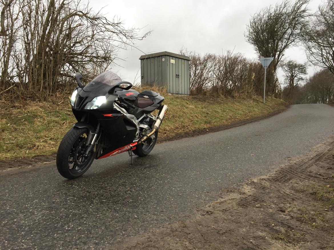 Aprilia RSV 1000 billede 7