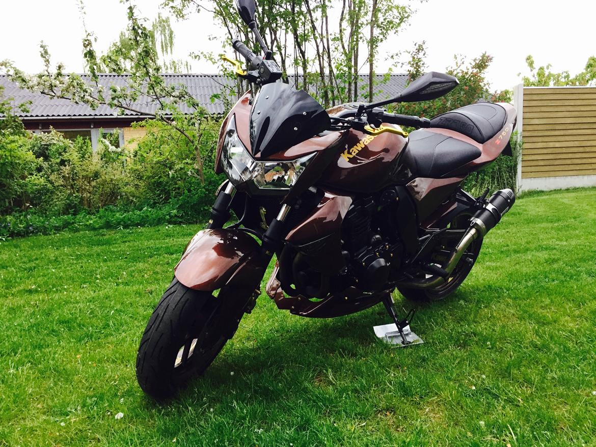 Kawasaki Z750 Coco Cobra  billede 6