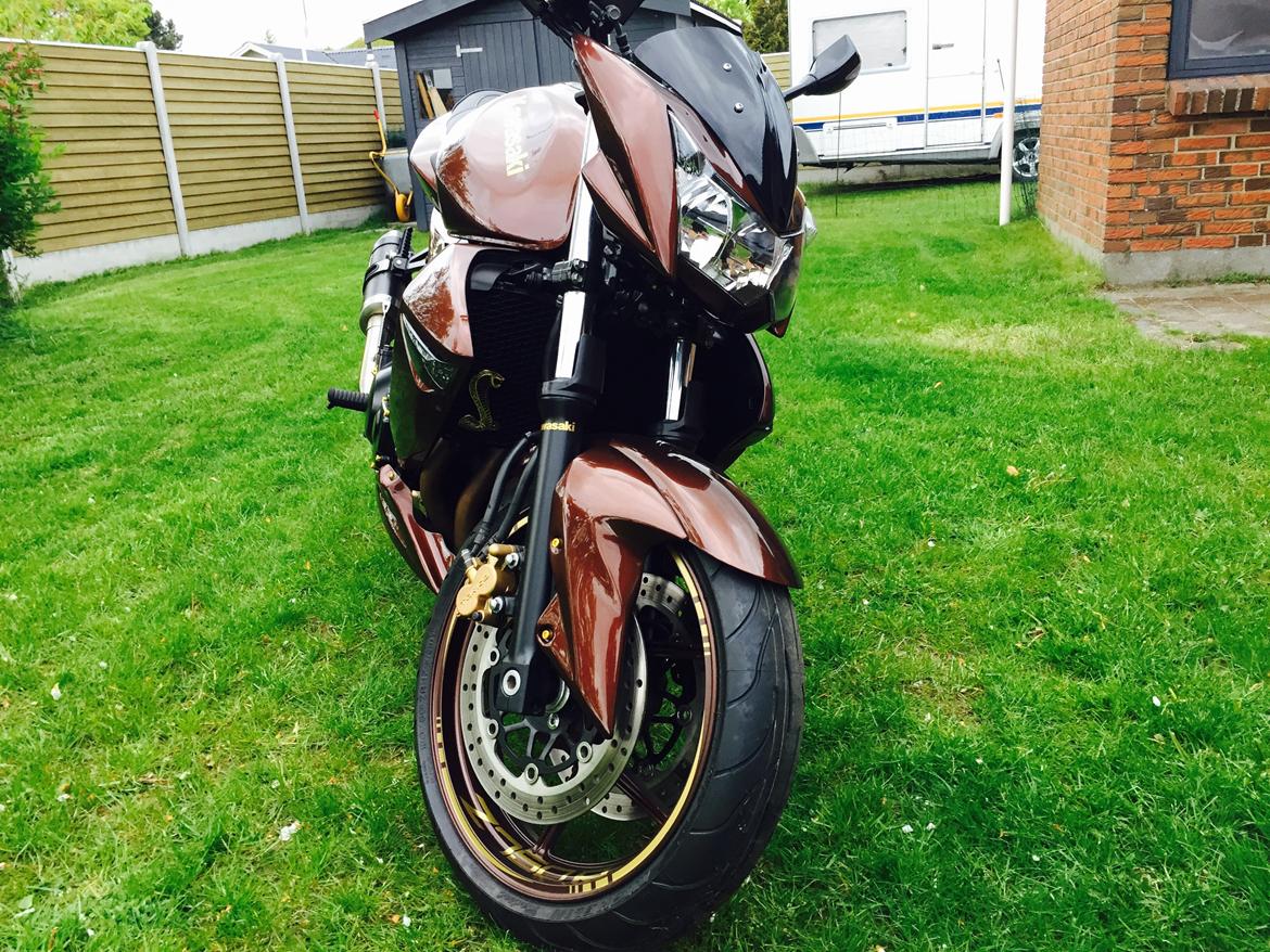 Kawasaki Z750 Coco Cobra  billede 7