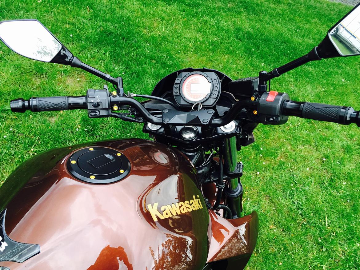 Kawasaki Z750 Coco Cobra  billede 8