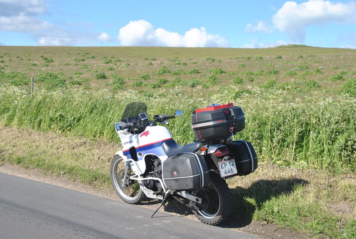 Honda XL600 V Transalp (PD06) billede 1