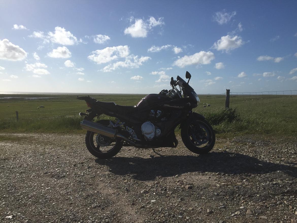 Suzuki GSF 1250 SA billede 20