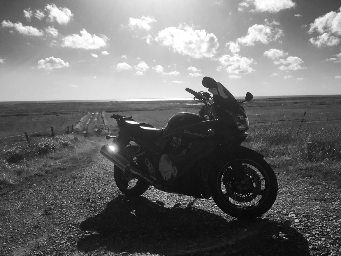 Suzuki GSF 1250 SA billede 2