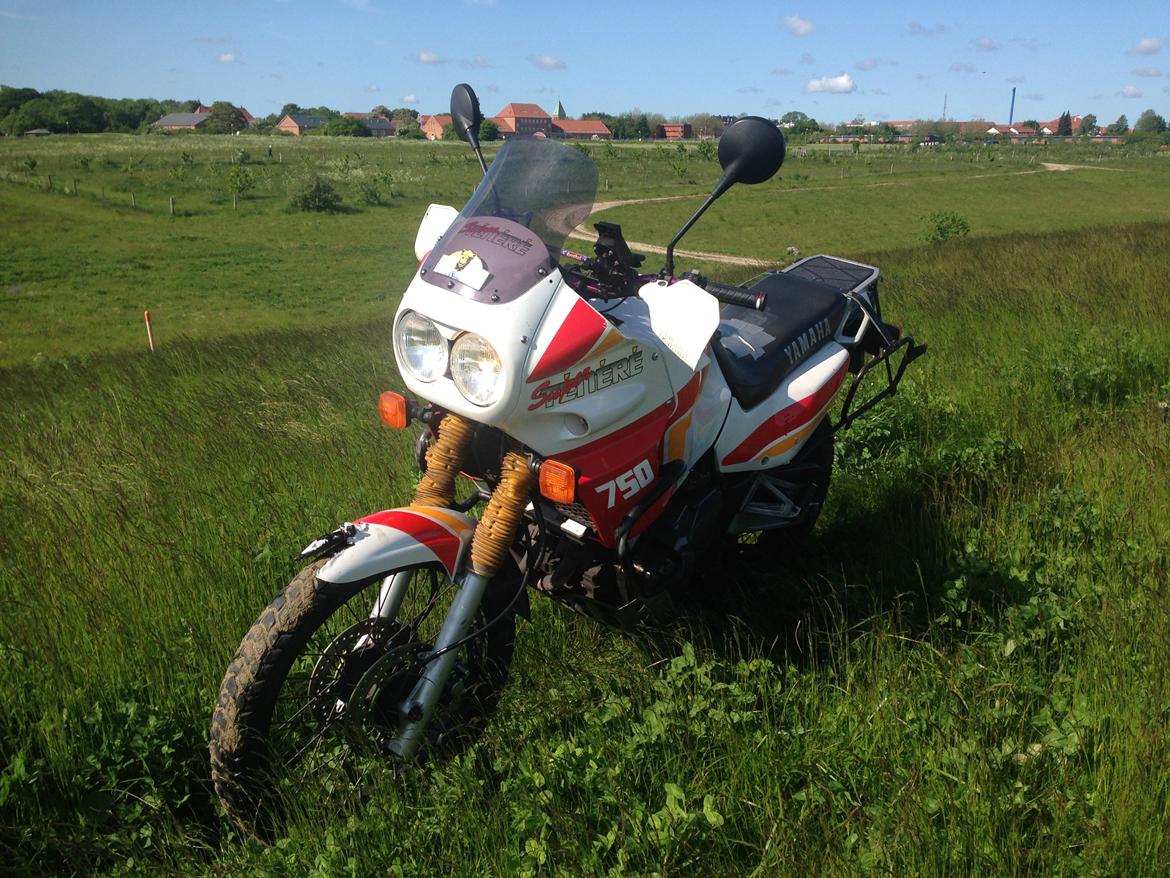 Yamaha XTZ 750 Super Tenere billede 1