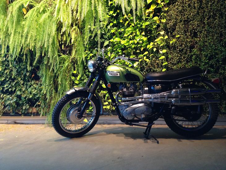 Triumph TR6C - Trophy billede 1