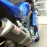 Suzuki SV 650S [SOLGT]