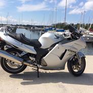 Honda Cbr 1100 xx blackbird