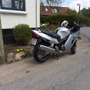 Honda Cbr 1100 xx blackbird
