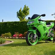 Kawasaki ZX6-R F1 Ninja