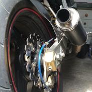 Ducati Monster SOLGT