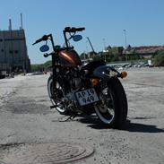 Harley Davidson Forty Eight XL1200