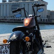 Harley Davidson Forty Eight XL1200