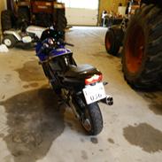 Honda CBR600 F2 PC25