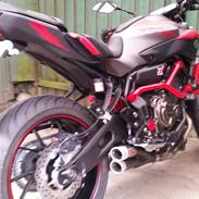 Yamaha MT 07 Moto Cage