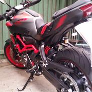 Yamaha MT 07 Moto Cage