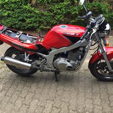 Suzuki Gs500