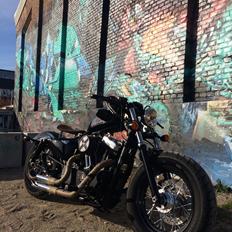Harley Davidson Forty Eight, XL1200X