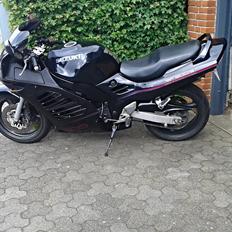 Suzuki RF 900 R