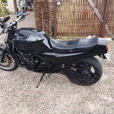 Yamaha FZ 750/1000