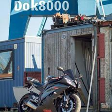 Yamaha YZF R6 RJ15 SOLGT