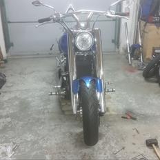 Kawasaki VN 900 COSTUM [Tidl. motorcykel]