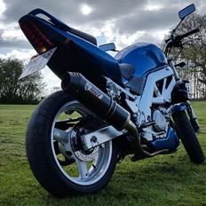 Suzuki SV 650 N