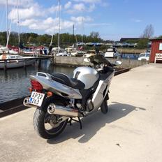 Honda Cbr 1100 xx blackbird