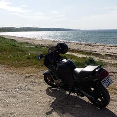 Honda CBR 1000 F (SOLGT)