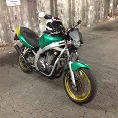 Suzuki gs500e