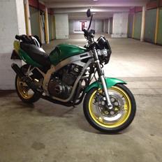 Suzuki gs500e