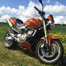 Honda CB 600 Hornet (solgt)