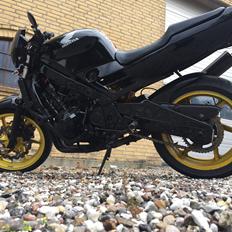 Honda CBR600 Streetfighter (SOLGT)
