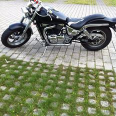 Suzuki VZ 800 Marauder