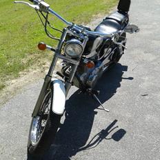 Suzuki Ls 650 Savage (solgt)