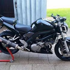 Suzuki SV1000S