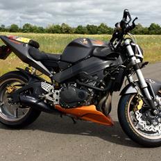 Honda CBR 954 StreetBlade