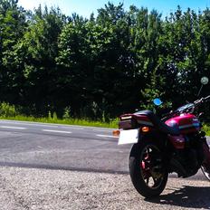 Kawasaki GPZ 1100 B2