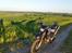 Yamaha XT660X