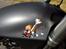Honda CBR 954 StreetBlade